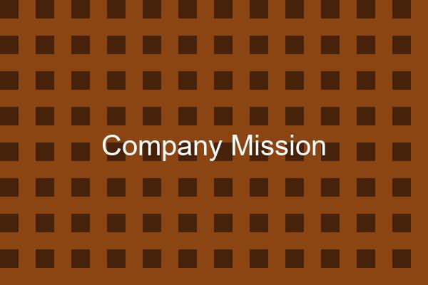 Company Mission